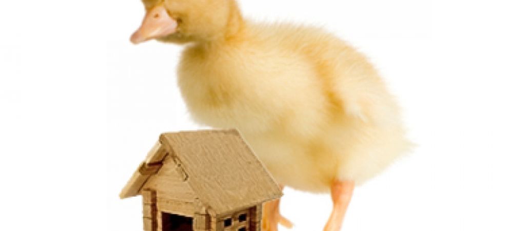 Hosting: i vantaggi di un servizio professionale | QuoLAB