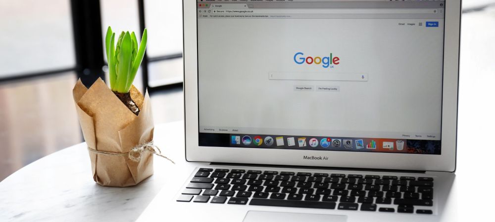 pc con schermata di home di Google e piantina verde